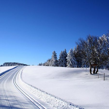Logis Le Vernay Autrans-Meaudre-en-Vercors Exteriér fotografie
