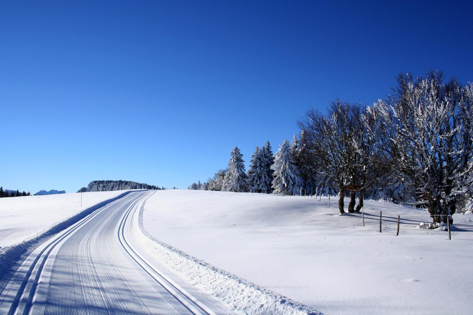 Logis Le Vernay Autrans-Meaudre-en-Vercors Exteriér fotografie
